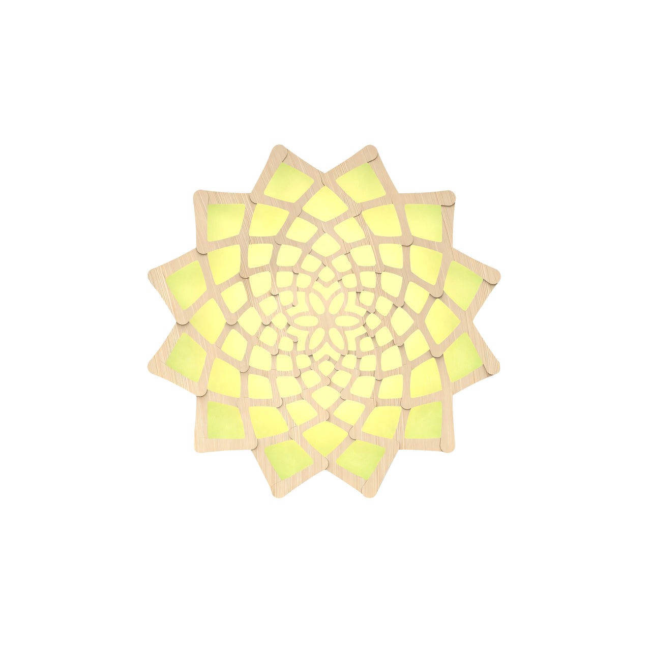 Sunflower Wall Light: Small + Lime