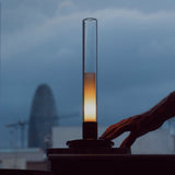 Sylvestrina Portable Table Lamp: Quick Ship