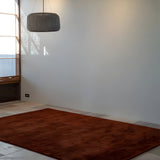 insitu