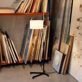 insitu