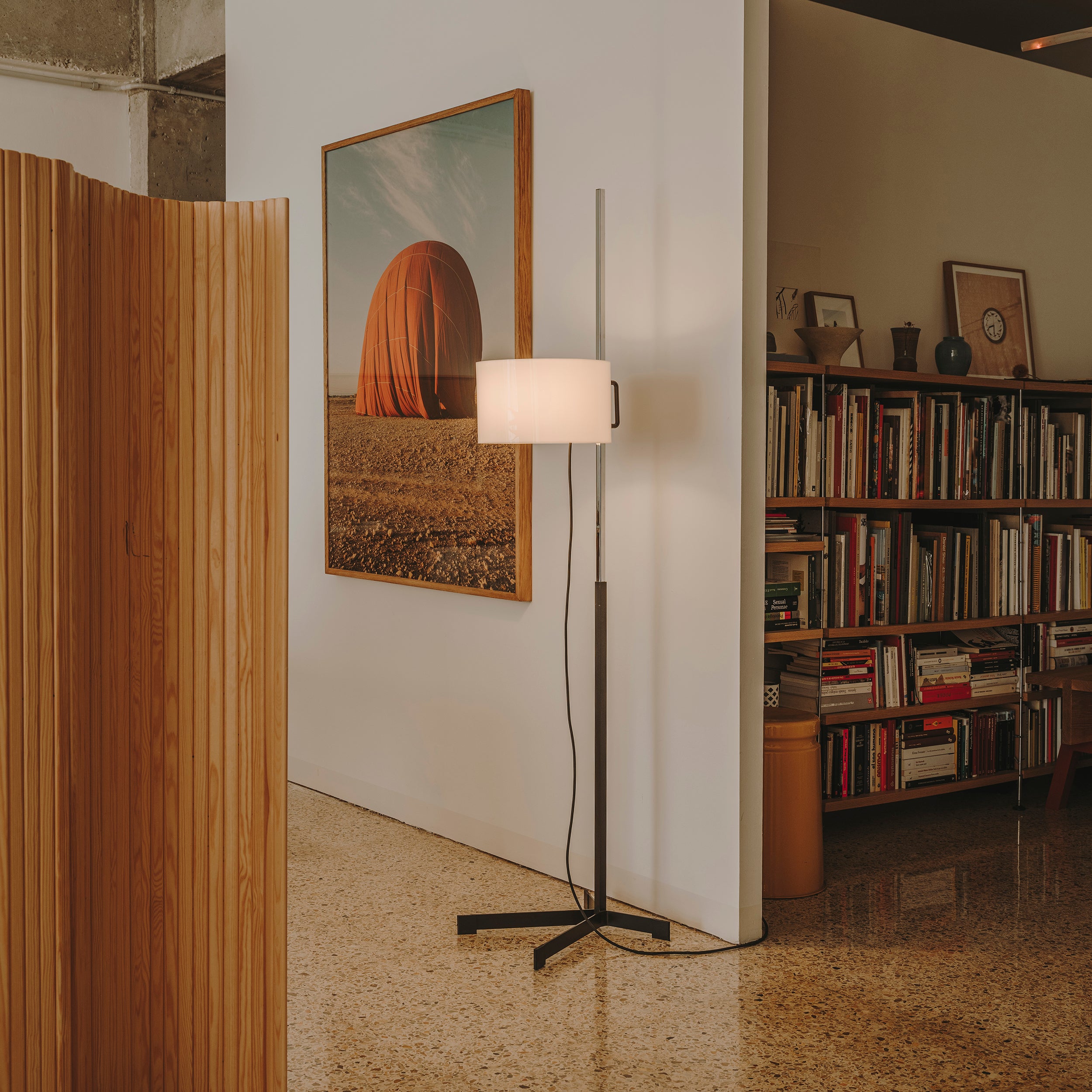 insitu