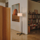 insitu
