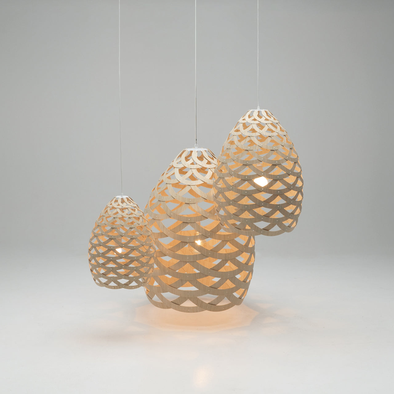 Tūī Pendant Light: Large + LS