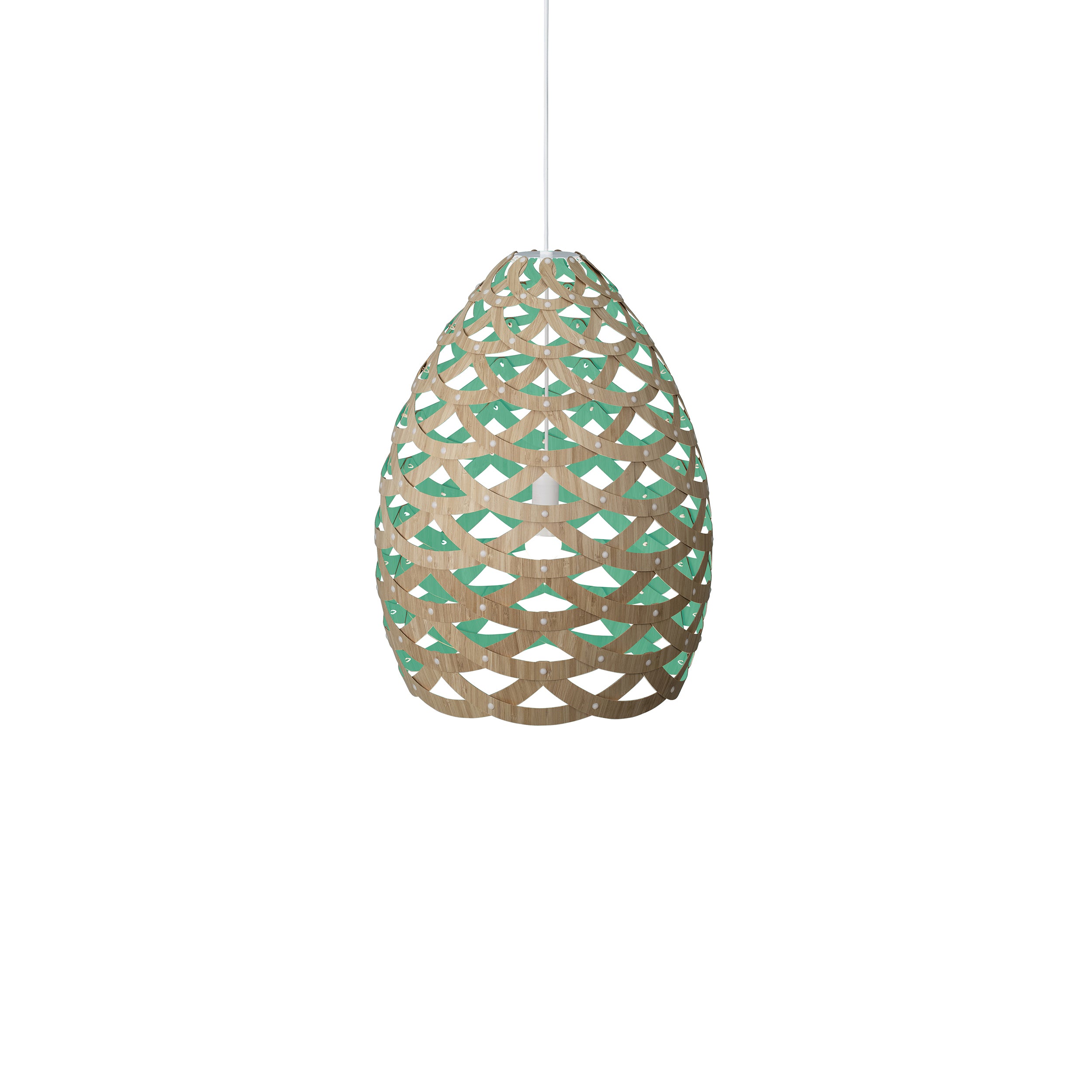 Tūī Pendant Light: Medium + Bamboo + Aqua + White