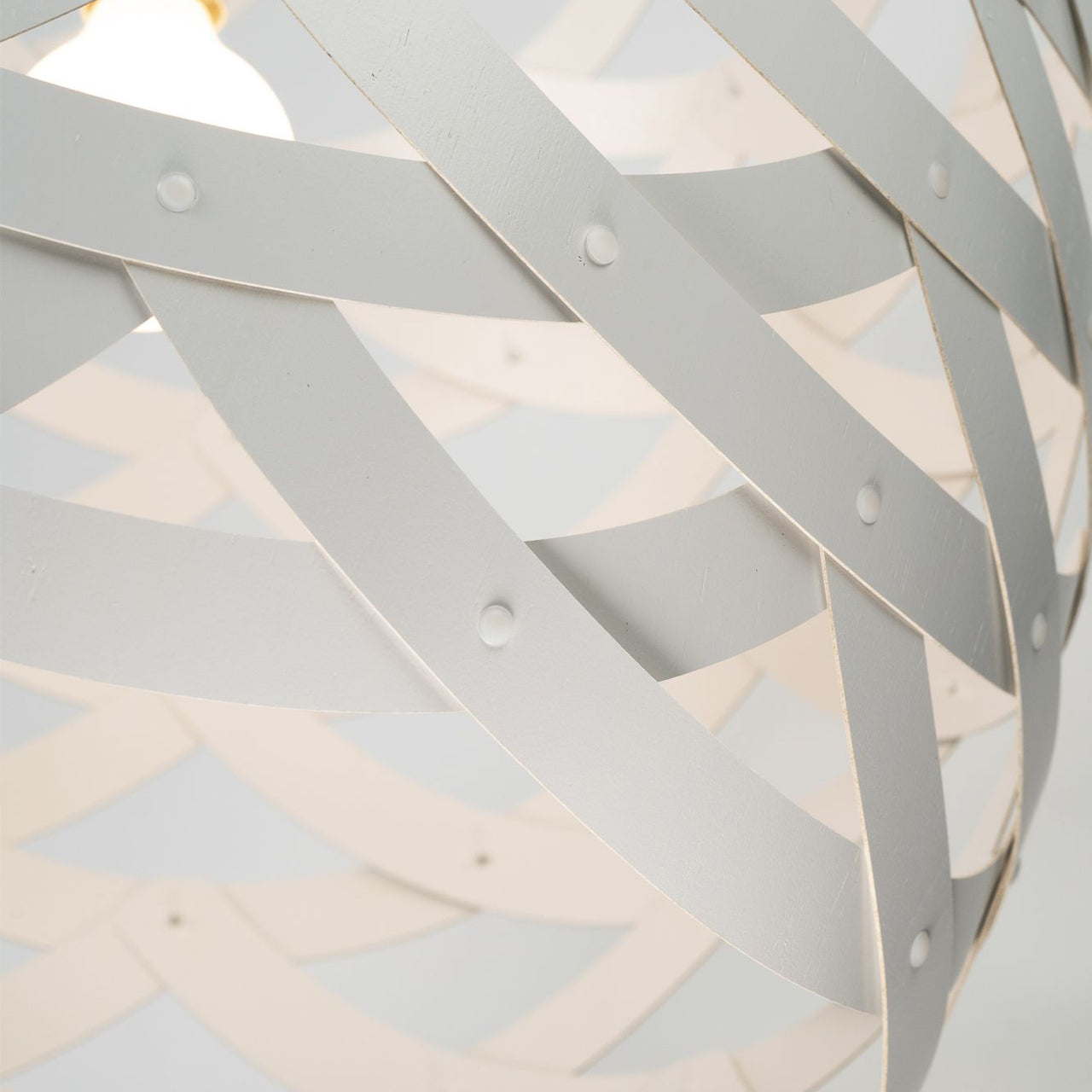 Tūī Pendant Light: Medium + DI