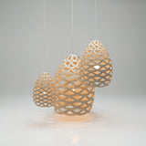Tūī Pendant Light: Medium + LS
