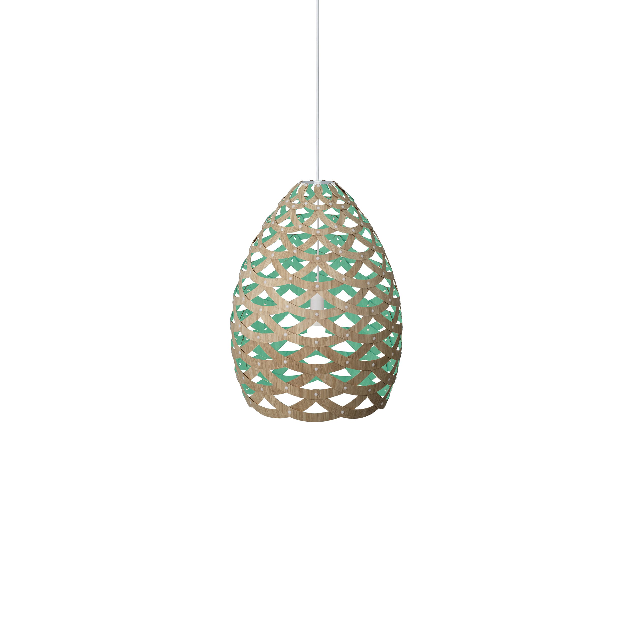 Tūī Pendant Light: Small + Bamboo + Aqua + White