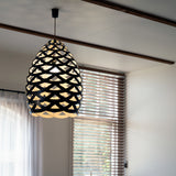 Tūī Pendant Light: Small + LS