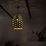 Tūī Pendant Light: Small + LS