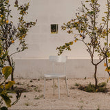 Tasca Chair: LS