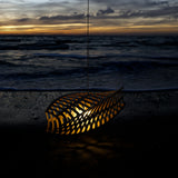 insitu