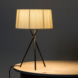 insitu