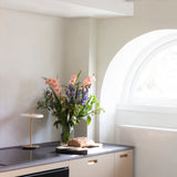 Asteria Move Portable Lamp: Quick Ship