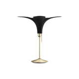 Jazz Champagne Table Lamp: Black Oak + Brushed Brass