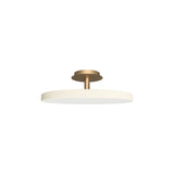 Asteria Up Ceiling Lamp: Large - 23.6