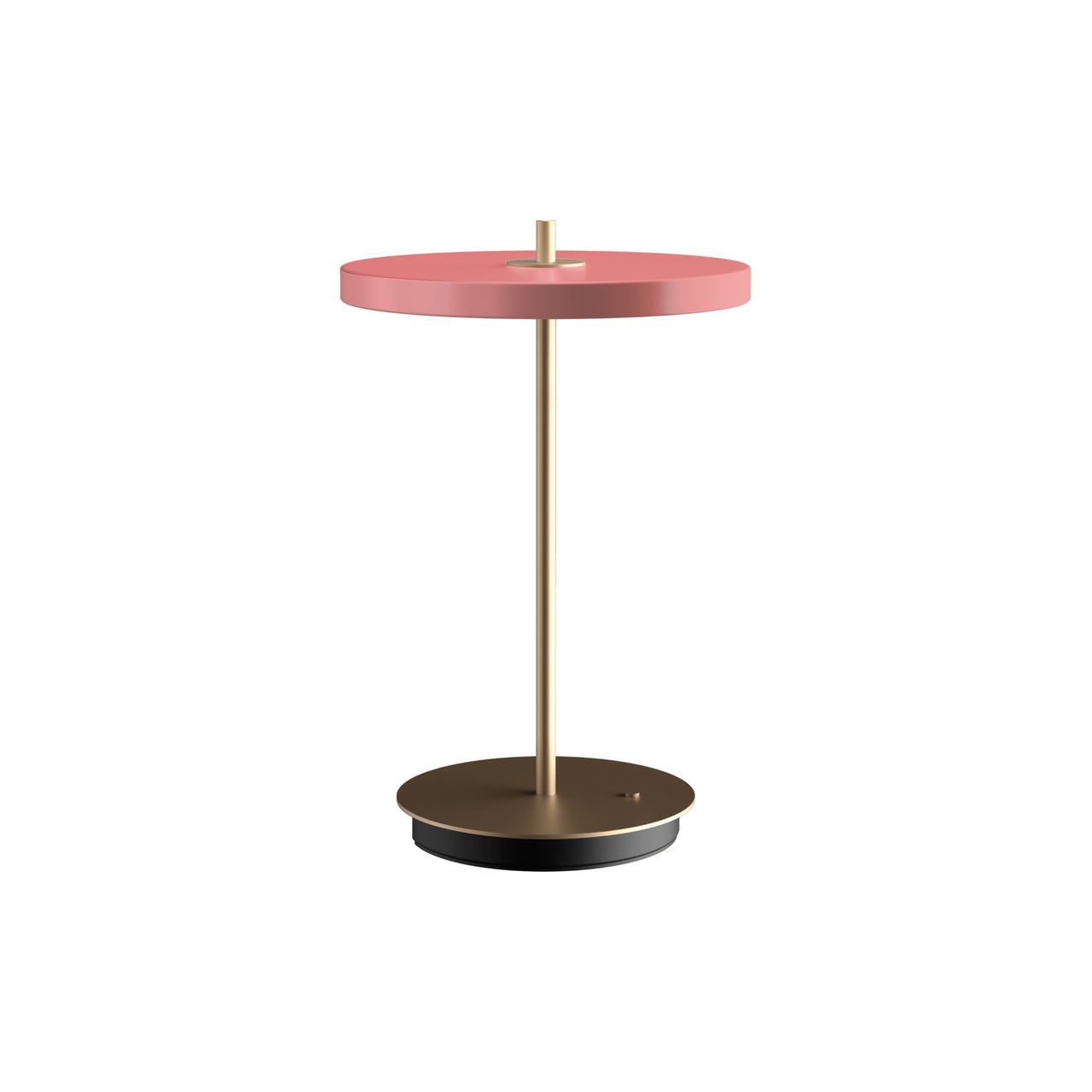 Asteria Move Portable Lamp: Medium - 20