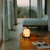 insitu