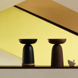 insitu