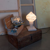 insitu