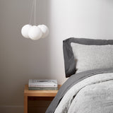 insitu