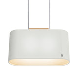 Belmont Pendant Light