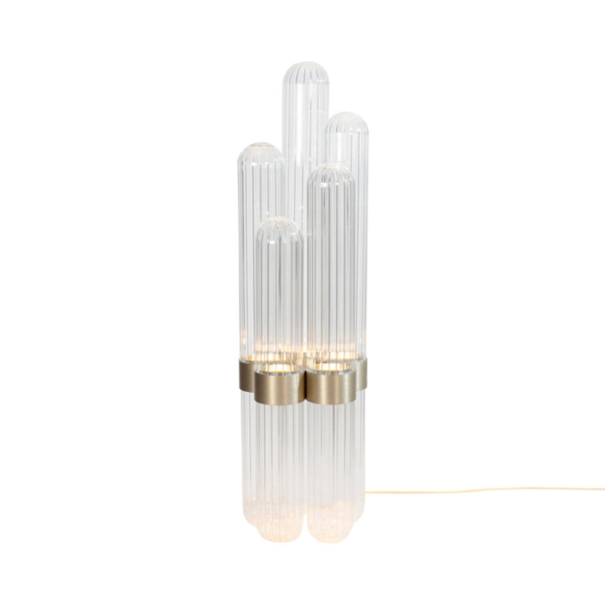 Cactus Floor Lamp: Transparent + Brass