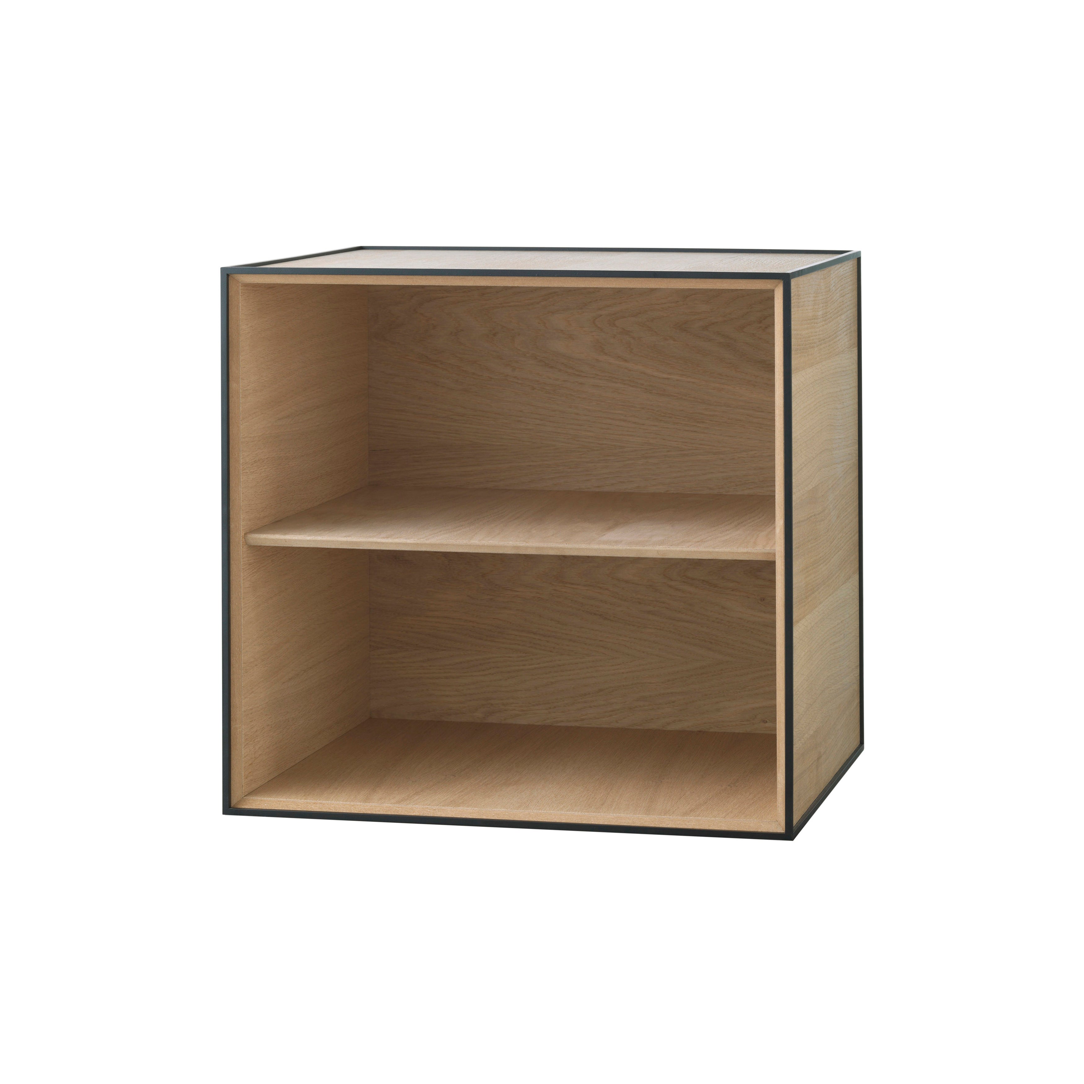 Frame Storage 49: Door + Oak + Without Door