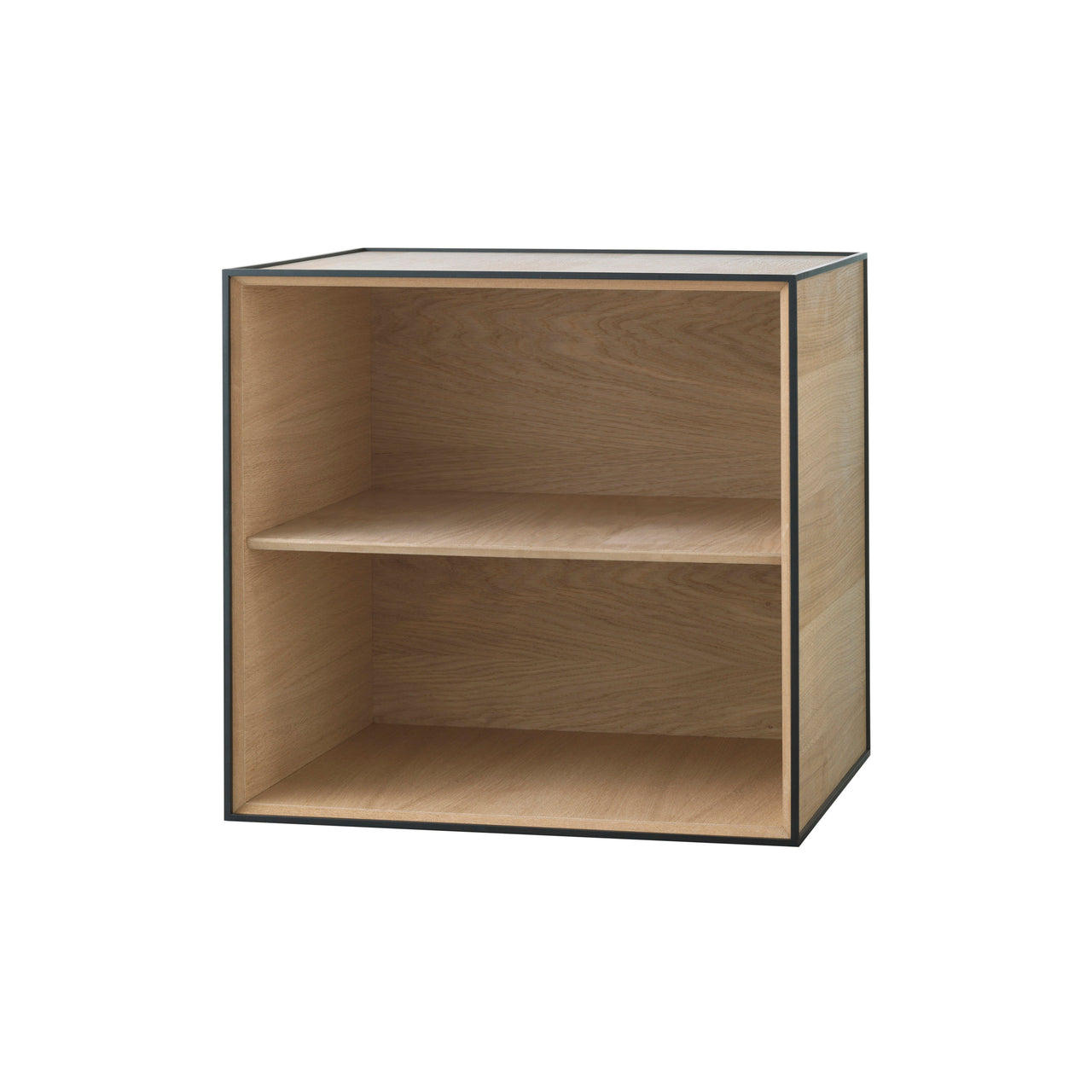 Frame Storage 49: Door + Oak + Without Door