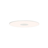 Circa Flush Wall/Ceiling Light: Large - 15.9