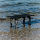 insitu