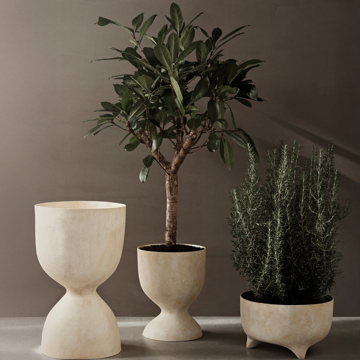 Evoke Pot