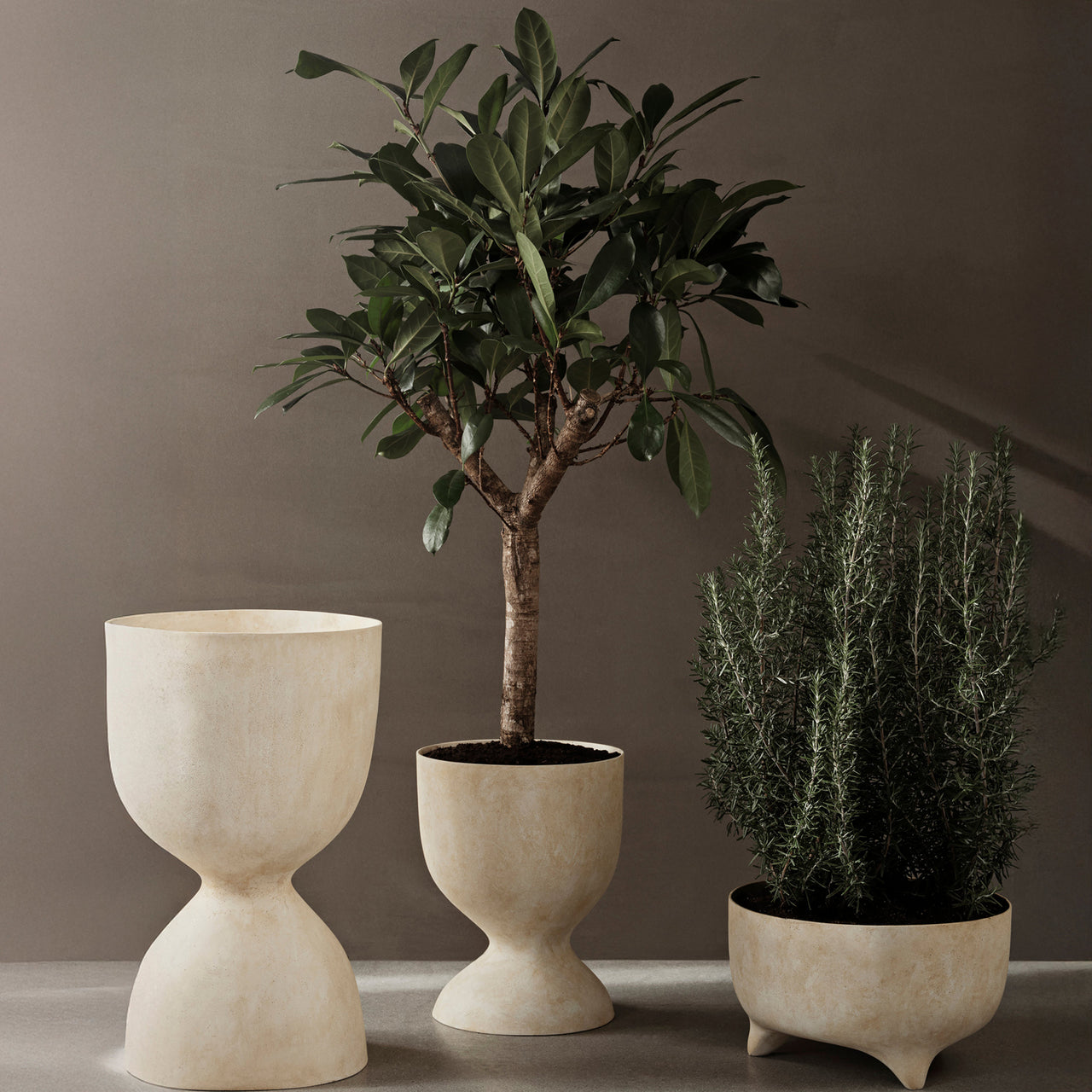 Evoke Pot