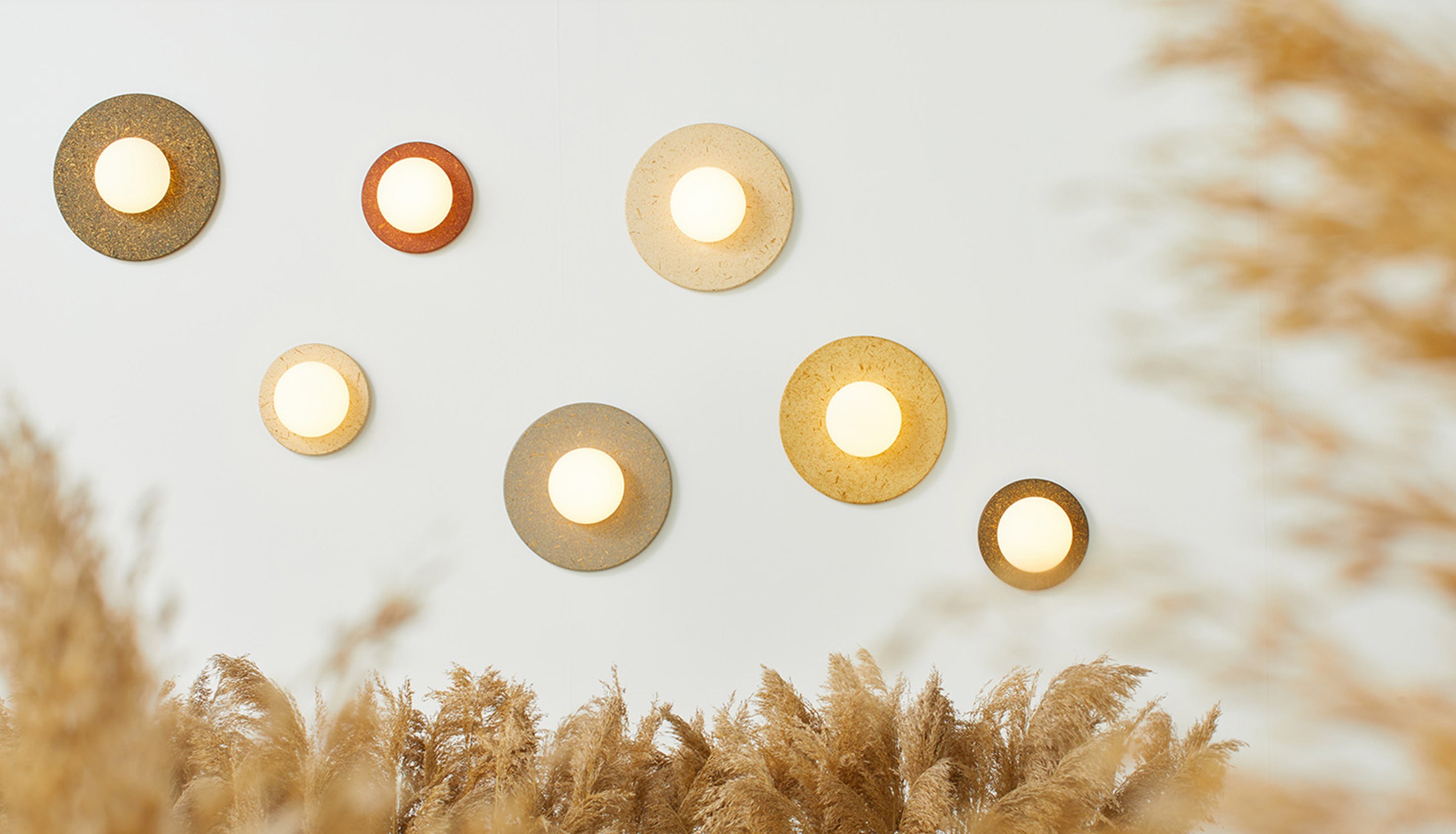 Seven round wall-mounted light fixtures in various metallic finishes are arranged on a light wall above dried pampas grass, with some foreground grass blurred.