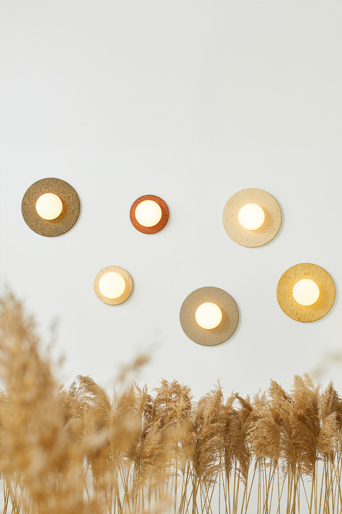 Circular wall sconces with textured metallic finishes in gold, bronze, and silver, arranged on a light gray wall above a blurred bed of dried pampas grass.