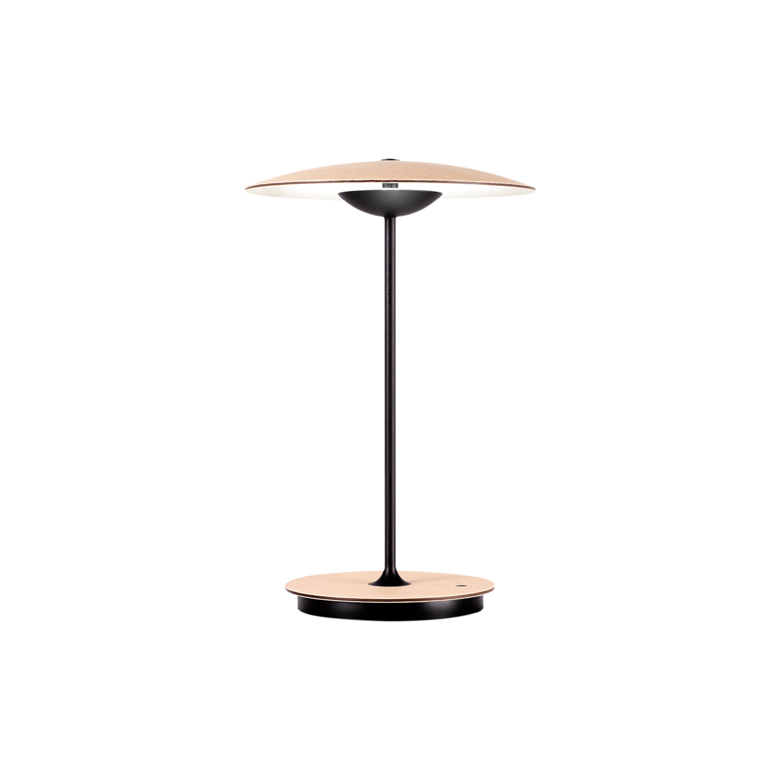 Ginger Portable Table Lamp