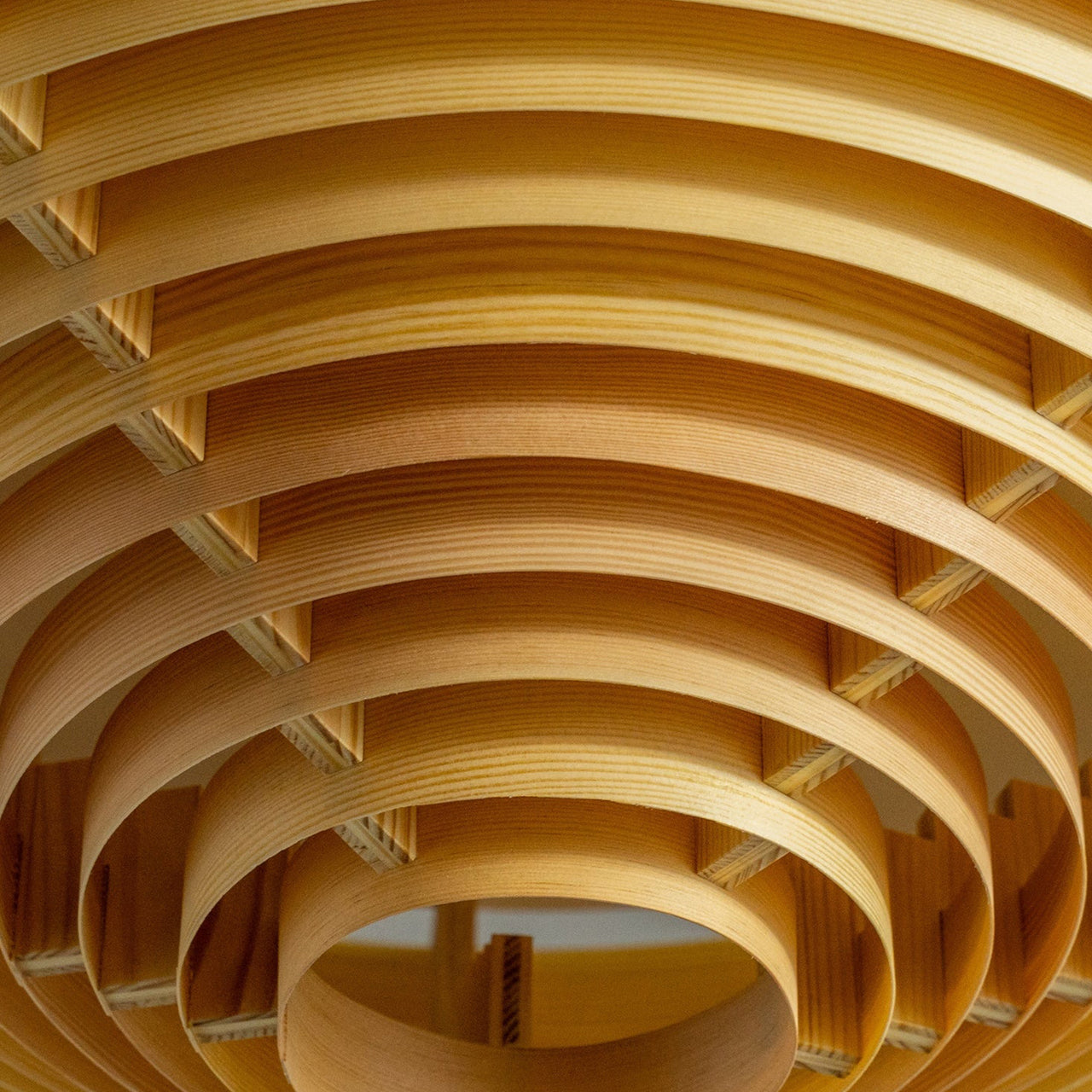 1005 Hans Ceiling Light