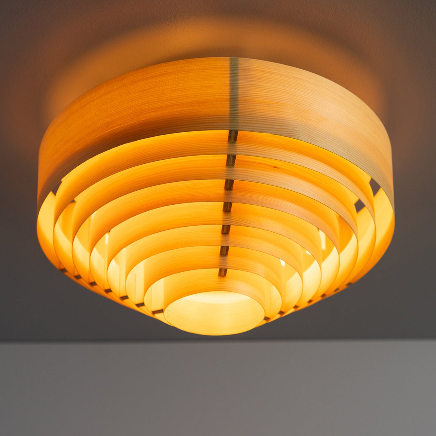 1005 Hans Ceiling Light