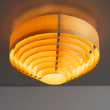 1005 Hans Ceiling Light