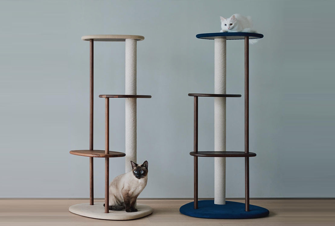 Two cat trees with cats on a plain background