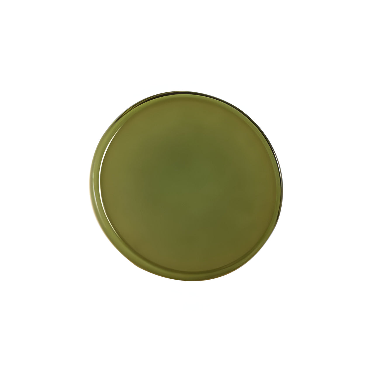 Caramel Wall Light : Small - 8.7
