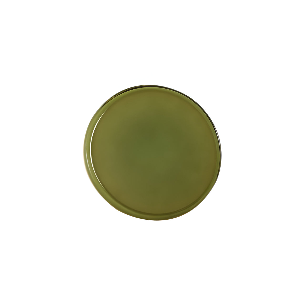 Caramel Wall Light : Small - 8.7