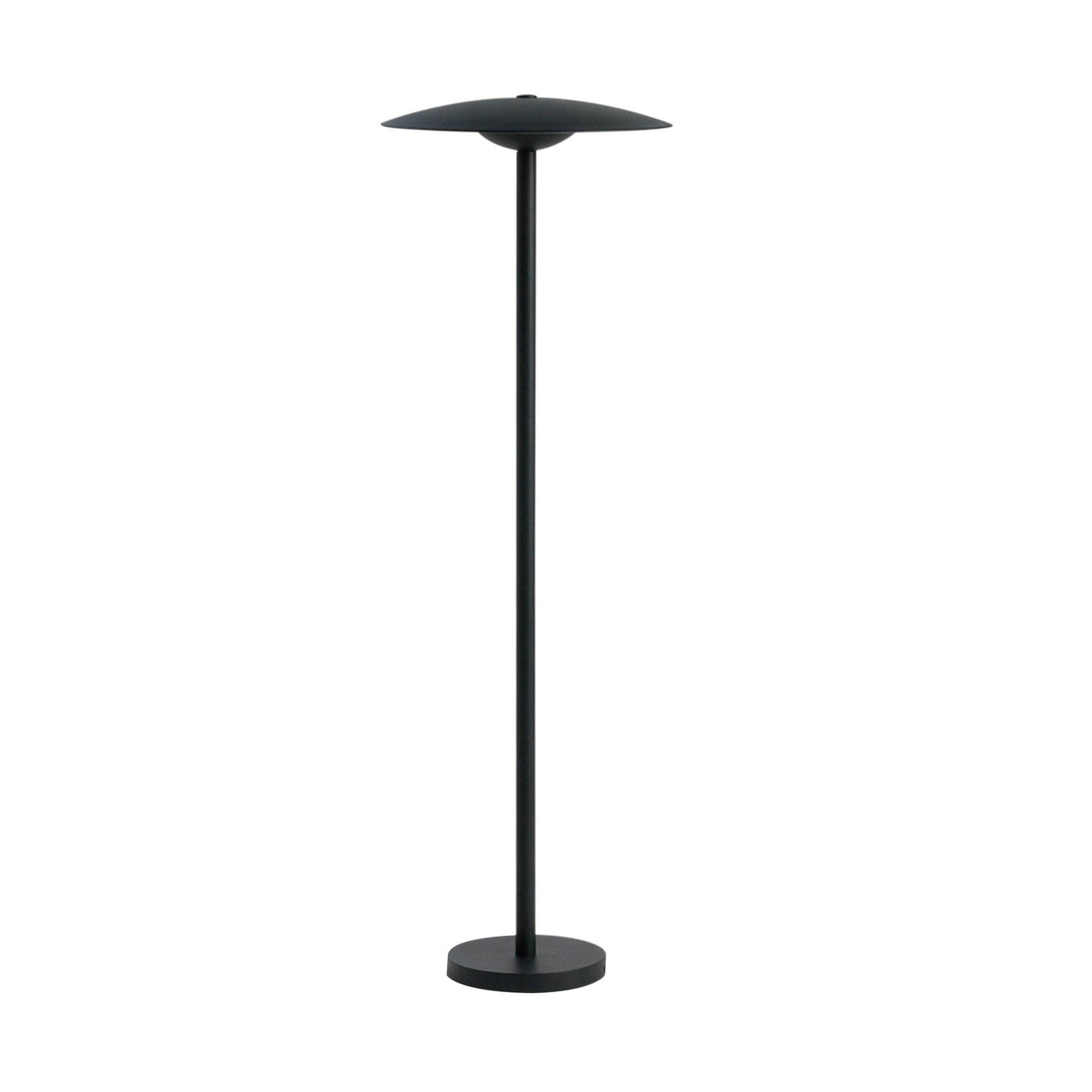 Ginger Bollard Light: Medium + Black