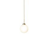 Apiales 1 Pendant: Large - 7.9