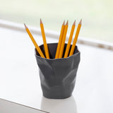 Pen Pen Pencil Holder