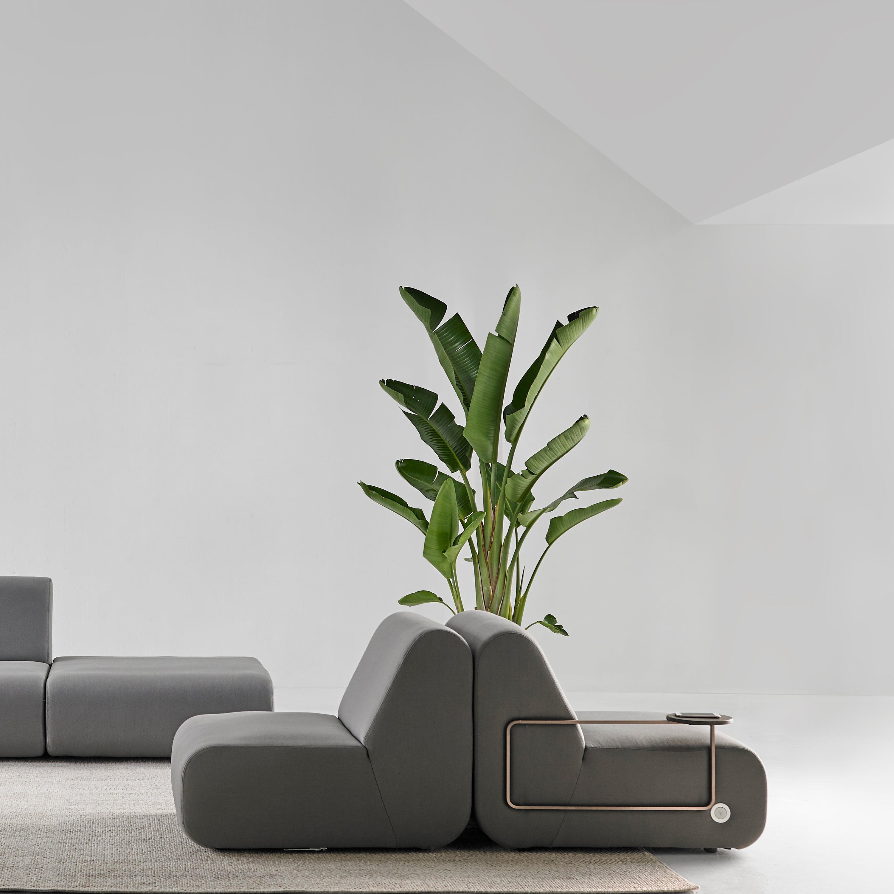 insitu
