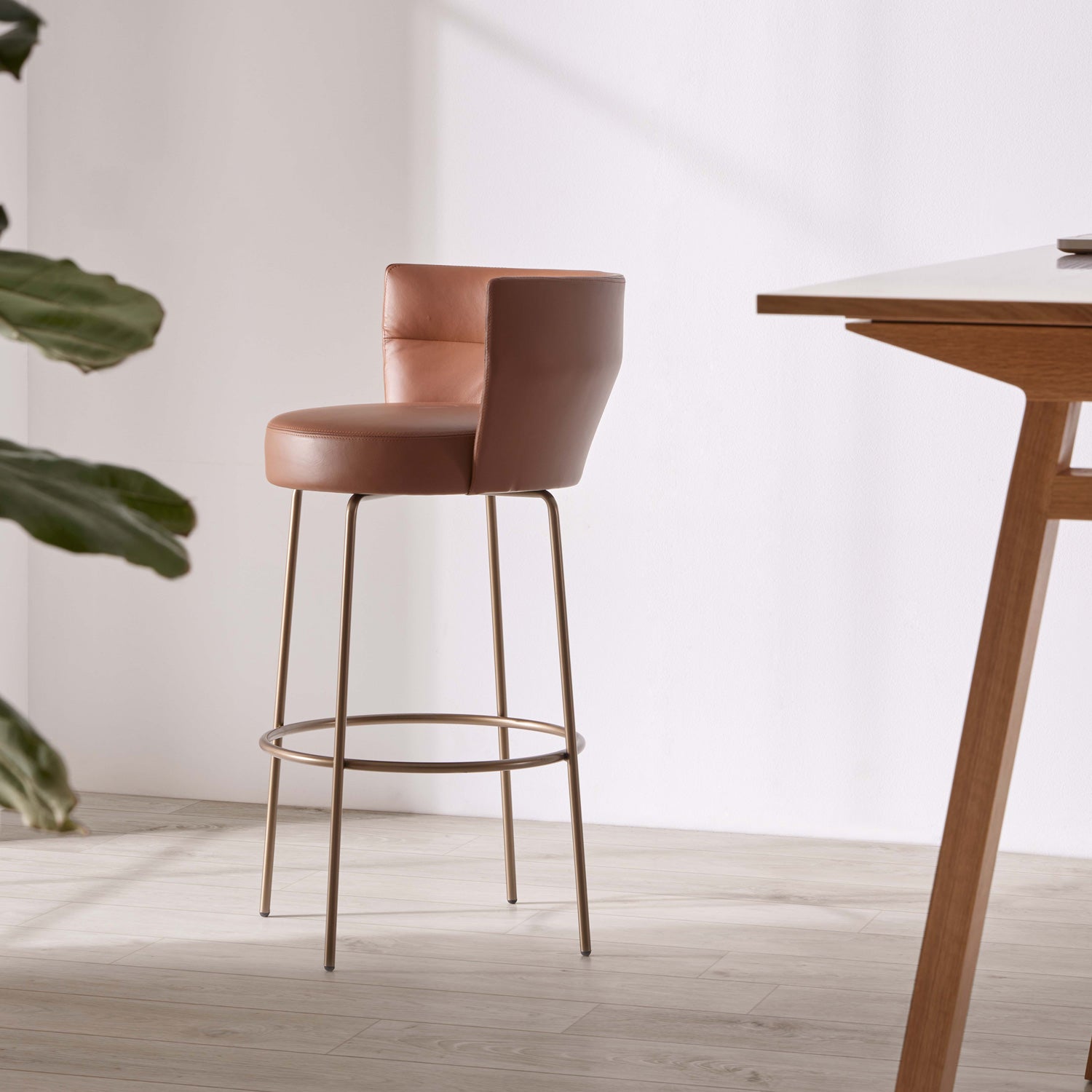 Sena Bar + Counter Stool