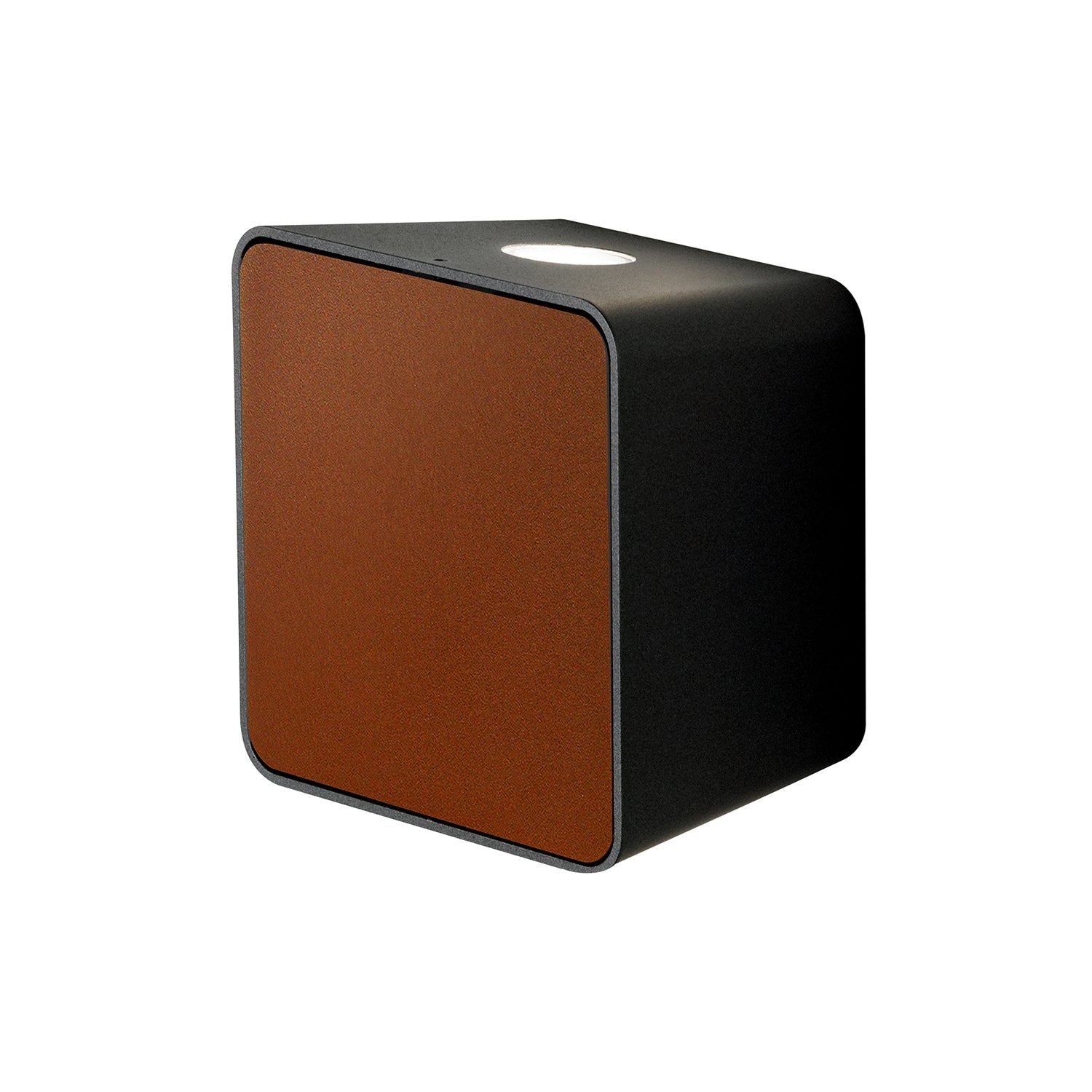 Lab 2 Wall Light: Rust Brown