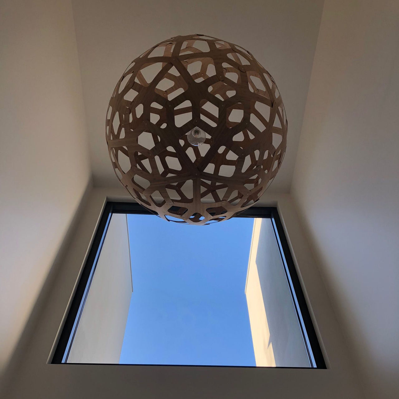 Coral Pendant Light: Large