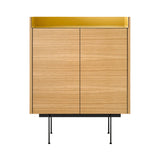 Stockholm STH011 Cupboard: Composition 3 + Super-Matt Oak + Anodized Aluminum Gold + Black