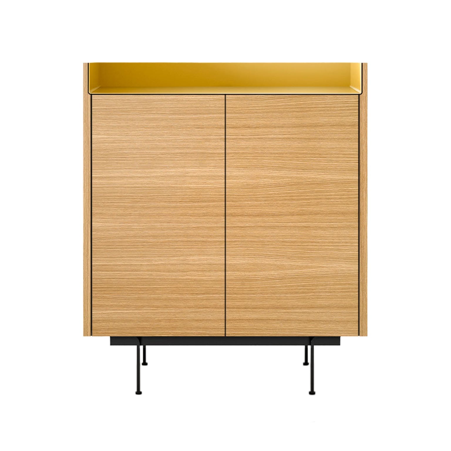 Stockholm STH011 Cupboard: Composition 2 + Super-Matt Oak + Anodized Aluminum Gold + Black